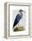 Blue Heron 2-Fab Funky-Framed Stretched Canvas