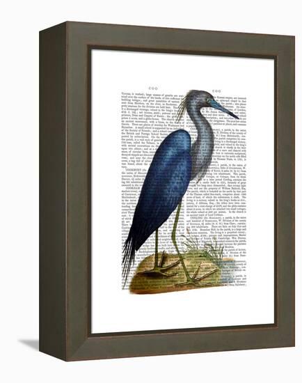 Blue Heron 2-Fab Funky-Framed Stretched Canvas