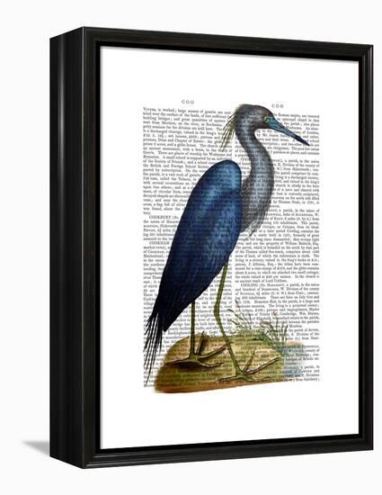 Blue Heron 2-Fab Funky-Framed Stretched Canvas