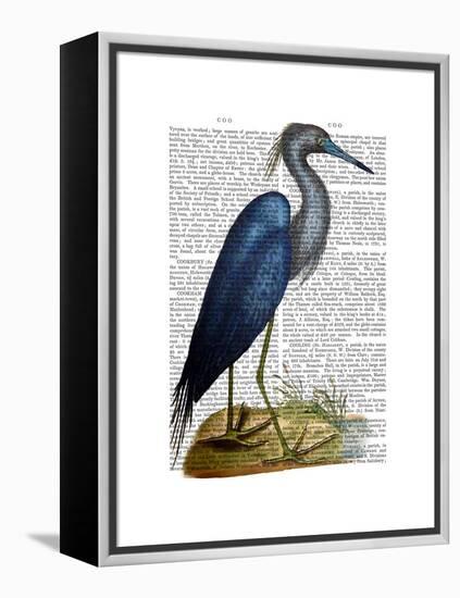 Blue Heron 2-Fab Funky-Framed Stretched Canvas