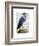 Blue Heron 2-Fab Funky-Framed Art Print