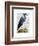 Blue Heron 2-Fab Funky-Framed Art Print