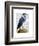 Blue Heron 2-Fab Funky-Framed Art Print