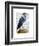 Blue Heron 2-Fab Funky-Framed Art Print