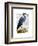 Blue Heron 2-Fab Funky-Framed Art Print