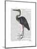 Blue Heron 3-Fab Funky-Mounted Art Print