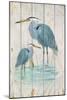 Blue Heron Duo-Arnie Fisk-Mounted Art Print