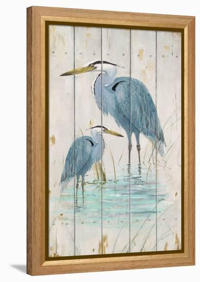 Blue Heron Duo-Arnie Fisk-Framed Stretched Canvas