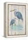 Blue Heron Duo-Arnie Fisk-Framed Stretched Canvas