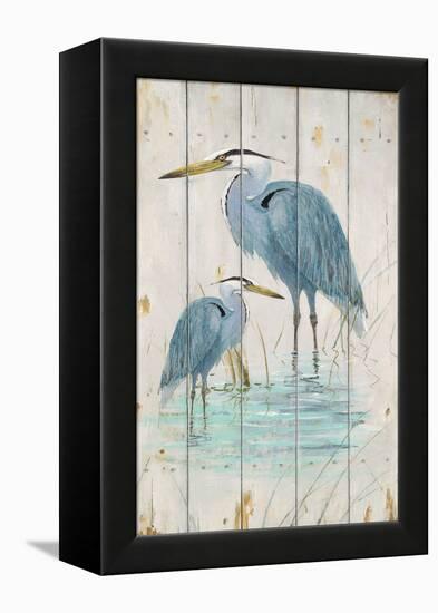 Blue Heron Duo-Arnie Fisk-Framed Stretched Canvas