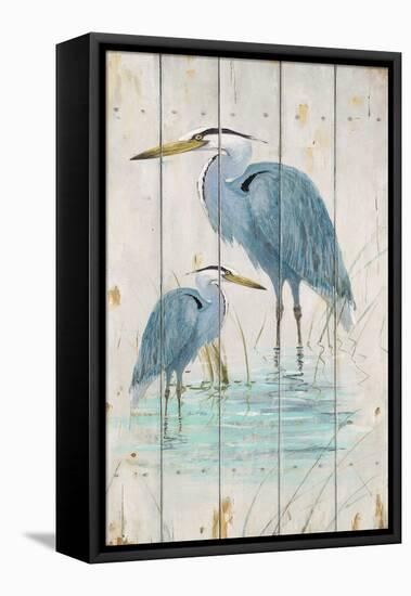 Blue Heron Duo-Arnie Fisk-Framed Stretched Canvas