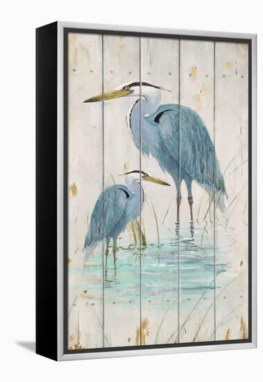 Blue Heron Duo-Arnie Fisk-Framed Stretched Canvas