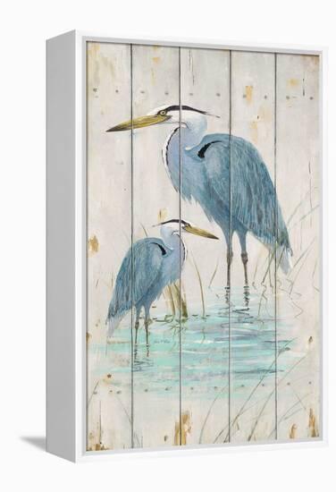 Blue Heron Duo-Arnie Fisk-Framed Stretched Canvas