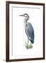 Blue Heron - Icon-Lantern Press-Framed Art Print