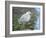 Blue Heron Moon-Bruce Dumas-Framed Giclee Print