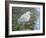 Blue Heron Moon-Bruce Dumas-Framed Giclee Print