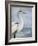 Blue Heron On Blue I-Patricia Pinto-Framed Art Print