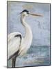 Blue Heron On Blue I-Patricia Pinto-Mounted Art Print