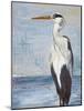 Blue Heron On Blue II-Patricia Pinto-Mounted Art Print