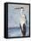 Blue Heron On Blue II-Patricia Pinto-Framed Stretched Canvas