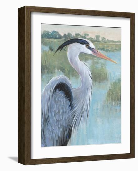 Blue Heron Portrait II-Tim OToole-Framed Art Print