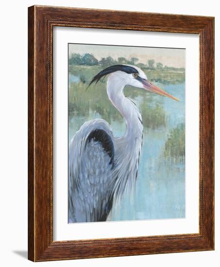 Blue Heron Portrait II-Tim OToole-Framed Art Print
