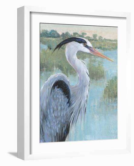 Blue Heron Portrait II-Tim OToole-Framed Art Print