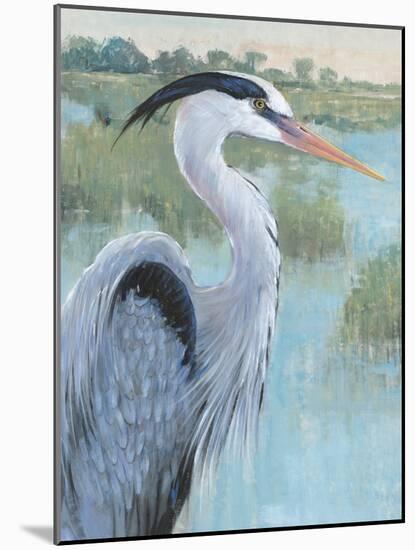 Blue Heron Portrait II-Tim OToole-Mounted Art Print