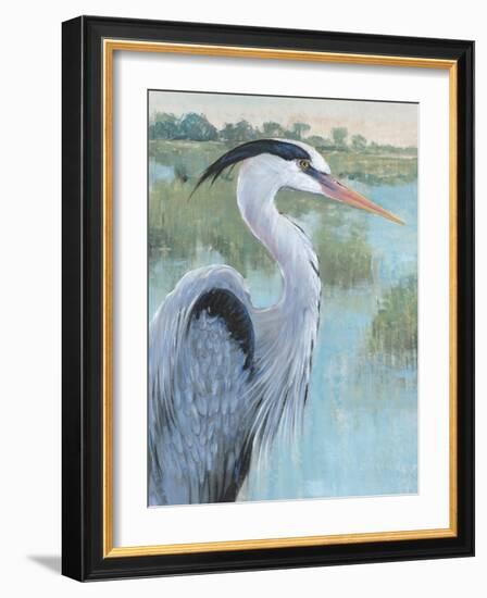 Blue Heron Portrait II-Tim OToole-Framed Art Print