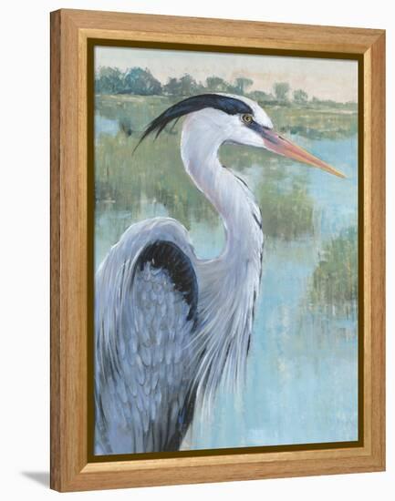 Blue Heron Portrait II-Tim OToole-Framed Stretched Canvas