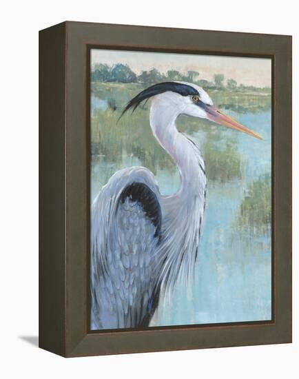 Blue Heron Portrait II-Tim OToole-Framed Stretched Canvas