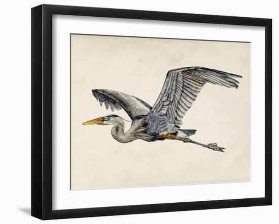 Blue Heron Rendering III-Melissa Wang-Framed Art Print