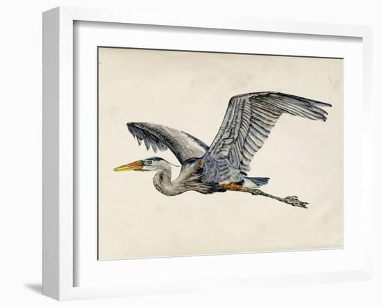 Blue Heron Rendering III-Melissa Wang-Framed Art Print