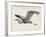 Blue Heron Rendering III-Melissa Wang-Framed Art Print