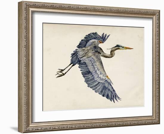 Blue Heron Rendering IV-Melissa Wang-Framed Art Print