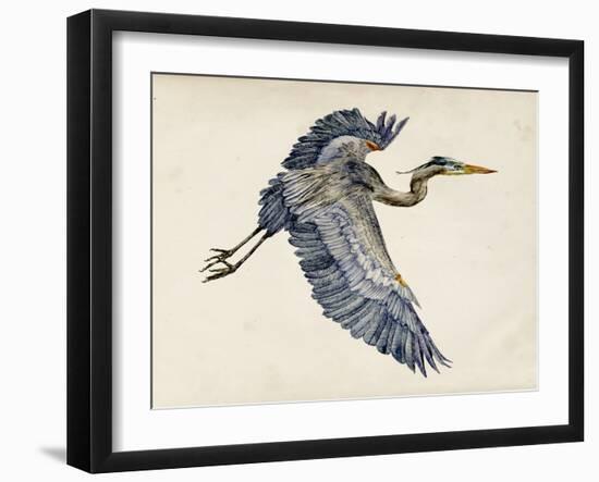 Blue Heron Rendering IV-Melissa Wang-Framed Art Print