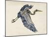 Blue Heron Rendering IV-Melissa Wang-Mounted Art Print