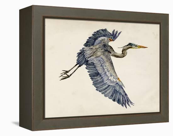 Blue Heron Rendering IV-Melissa Wang-Framed Stretched Canvas