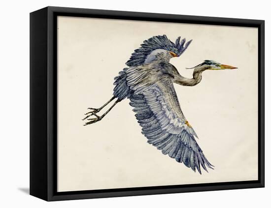 Blue Heron Rendering IV-Melissa Wang-Framed Stretched Canvas