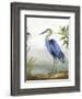 Blue Heron-Aimee Wilson-Framed Art Print