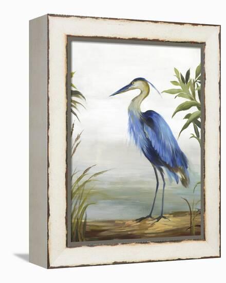 Blue Heron-Aimee Wilson-Framed Stretched Canvas