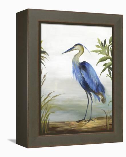 Blue Heron-Aimee Wilson-Framed Stretched Canvas