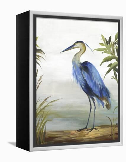 Blue Heron-Aimee Wilson-Framed Stretched Canvas