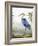 Blue Heron-Aimee Wilson-Framed Art Print