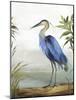 Blue Heron-Aimee Wilson-Mounted Art Print