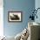 Blue Heron-John James Audubon-Framed Art Print displayed on a wall