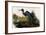 Blue Heron-John James Audubon-Framed Art Print