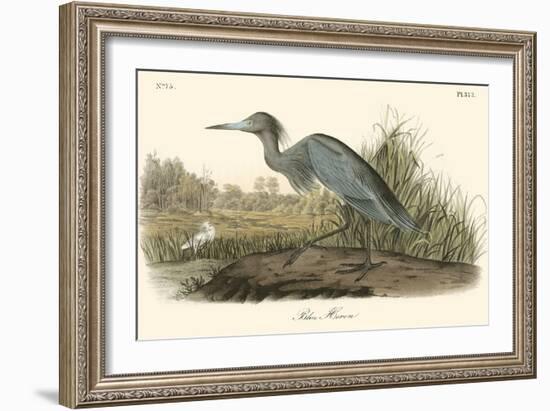 Blue Heron-John James Audubon-Framed Art Print