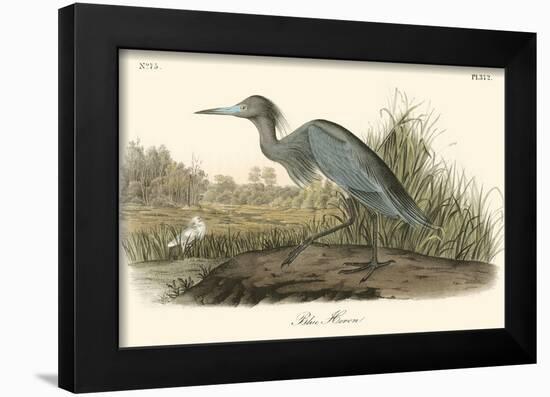 Blue Heron-John James Audubon-Framed Art Print