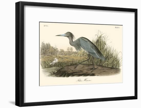 Blue Heron-John James Audubon-Framed Art Print